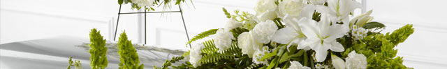 Funeral Funeral