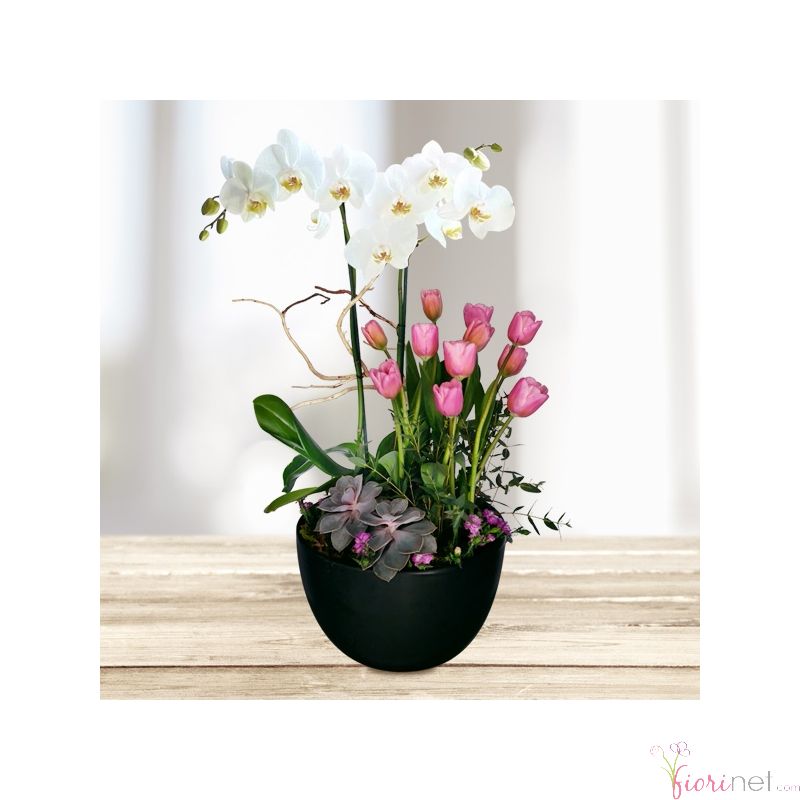 Flores FioriNET ® | florerias Orquídeas y tulipanes en base de cerámica,  Estado de México | Envio de Flores a Domicilio | Florerias Mexico |  florerias | Enviar Flores