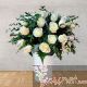 50 Rosas Esplendor