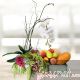 Phalaenopsis - Fruit