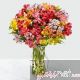 Rainbow Discovery Peruvian Lily Bouquet