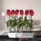 Rosas Véneta