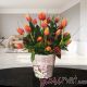 Vintage Tulips