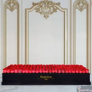 100 Rosas Rojas Bs