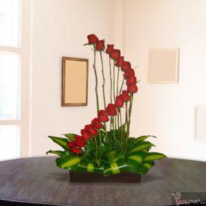 18 Rosas en Espiral