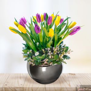 20 Tulipanes en Armonía