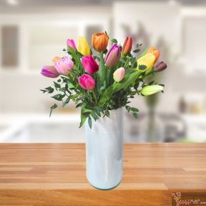 20 Tulipanes Arcoiris