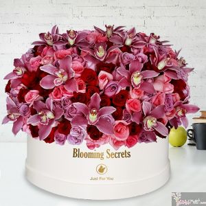 300 rosas y orquídeas BS