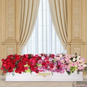 300 rosas y hortensias BS
