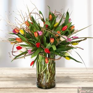 60 Tulipanes 