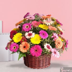 70 Gerberas en Canasta