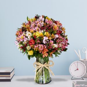 Alstroemerias Arco Iris