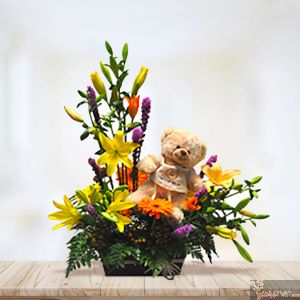 Baby basket
