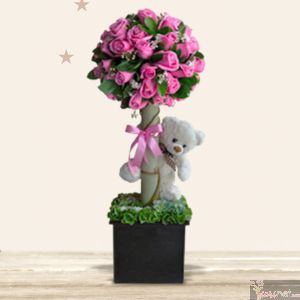 Baby Tree