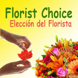 Florist Choice