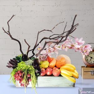Frutal Cymbidium