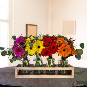 Gerberas Trendy