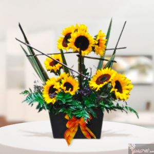 Girasoles en Estructura