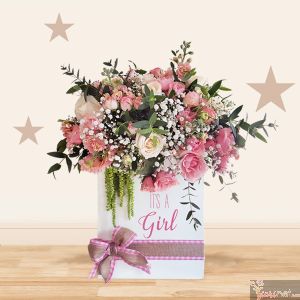 It's a Girl - It's a Boy