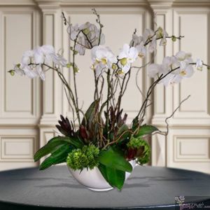 Imperio, Orquídeas Phalaenopsis 10 tallos