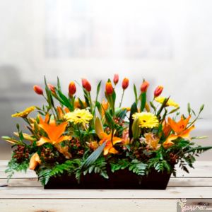 Jardinera de Tulipanes