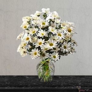 Margaritas en florero de vídrio