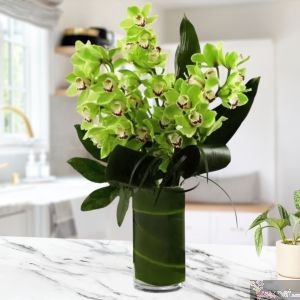3 Orquídeas Cymbidium en Armonia