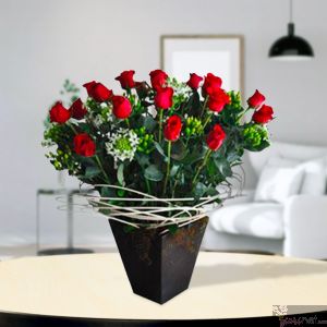 Rosas Nouveau 24