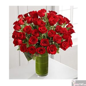 Rosas Luxury