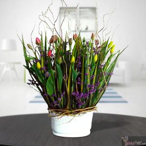 Tulip Fest