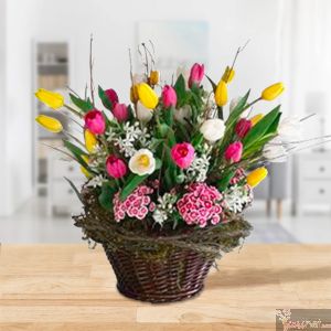 Tulipanes en Canasta