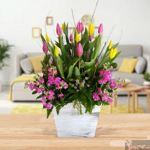 Tulipanes Encanto
