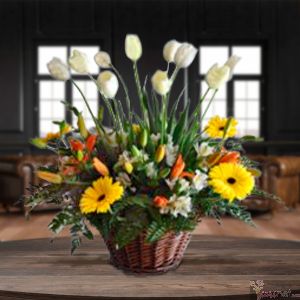 Tulipanes Ensueño