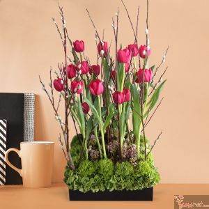 Tulipanes Forest