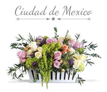 picture Enviofloresmx envio de flores a domicilio