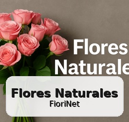 Diferencias entre flores naturales, preservadas y artificiales