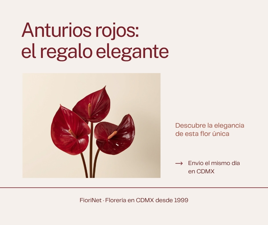 Anturios rojos: el regalo elegante que muchos olvidan