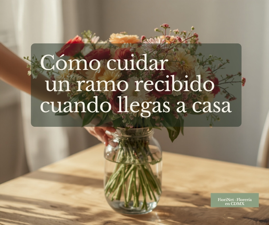 Cómo cuidar un ramo recibido cuando llegas a casa: paso a paso