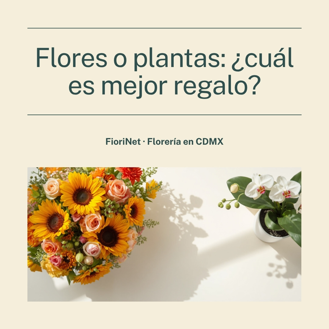 Flores naturales o plantas: cuál es mejor regalo