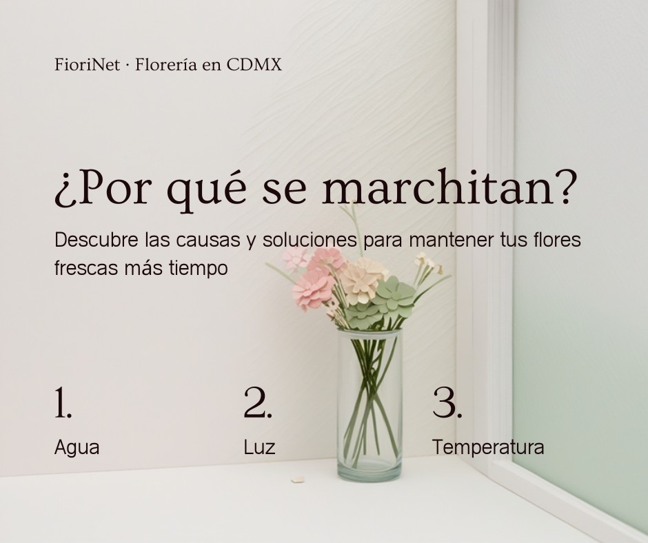Por qué se marchitan las flores antes de tiempo (y cómo evitarlo)