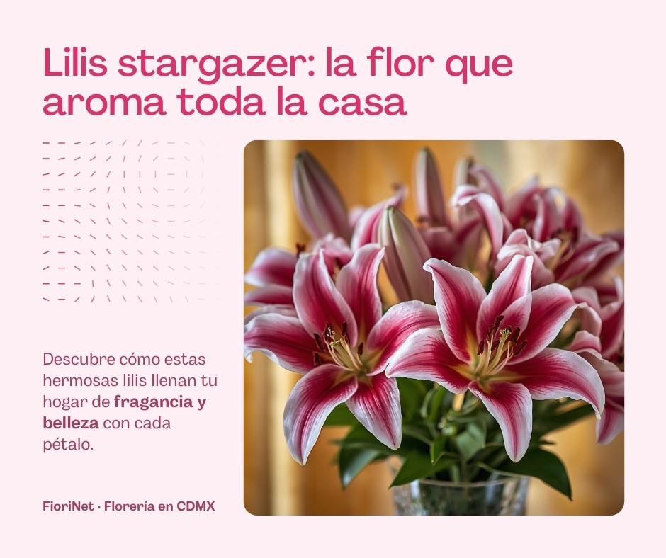 Lilis stargazer: la flor que aroma toda la casa