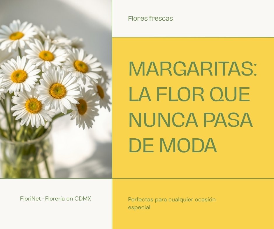 Margaritas: la flor que nunca pasa de moda