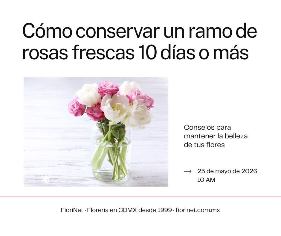 Cómo conservar un ramo de rosas frescas 10 días o más