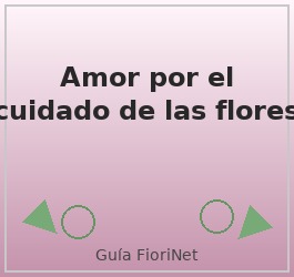 Amor por el cuidado de las flores