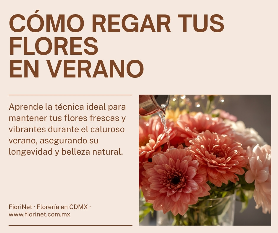 Cómo regar tus flores en verano: errores que matan el ramo