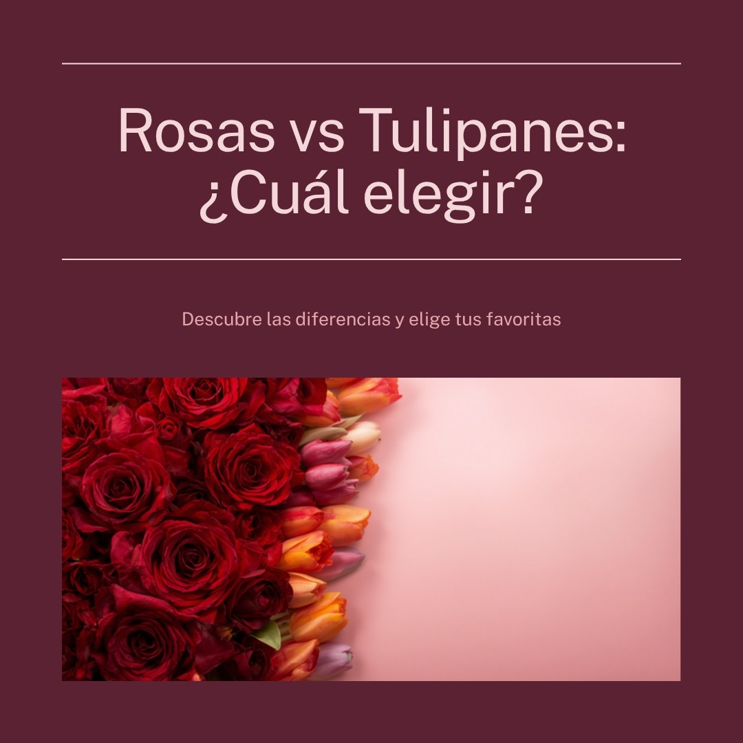 Rosas vs tulipanes: cuál elegir según ocasión y duración