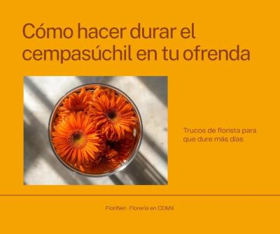 Cómo hacer durar el cempasúchil en tu ofrenda hasta el 3 de noviembre