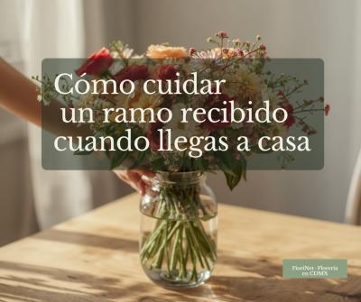 Cómo cuidar un ramo recibido cuando llegas a casa: paso a paso
