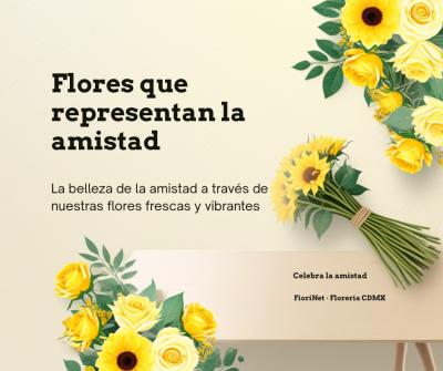 Flores que representan la amistad: para celebrar a tus amigas