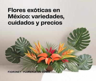 Flores exóticas en México: variedades, cuidados y precios